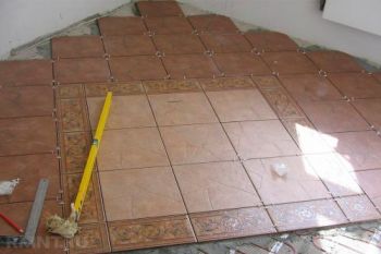 Boxis 6